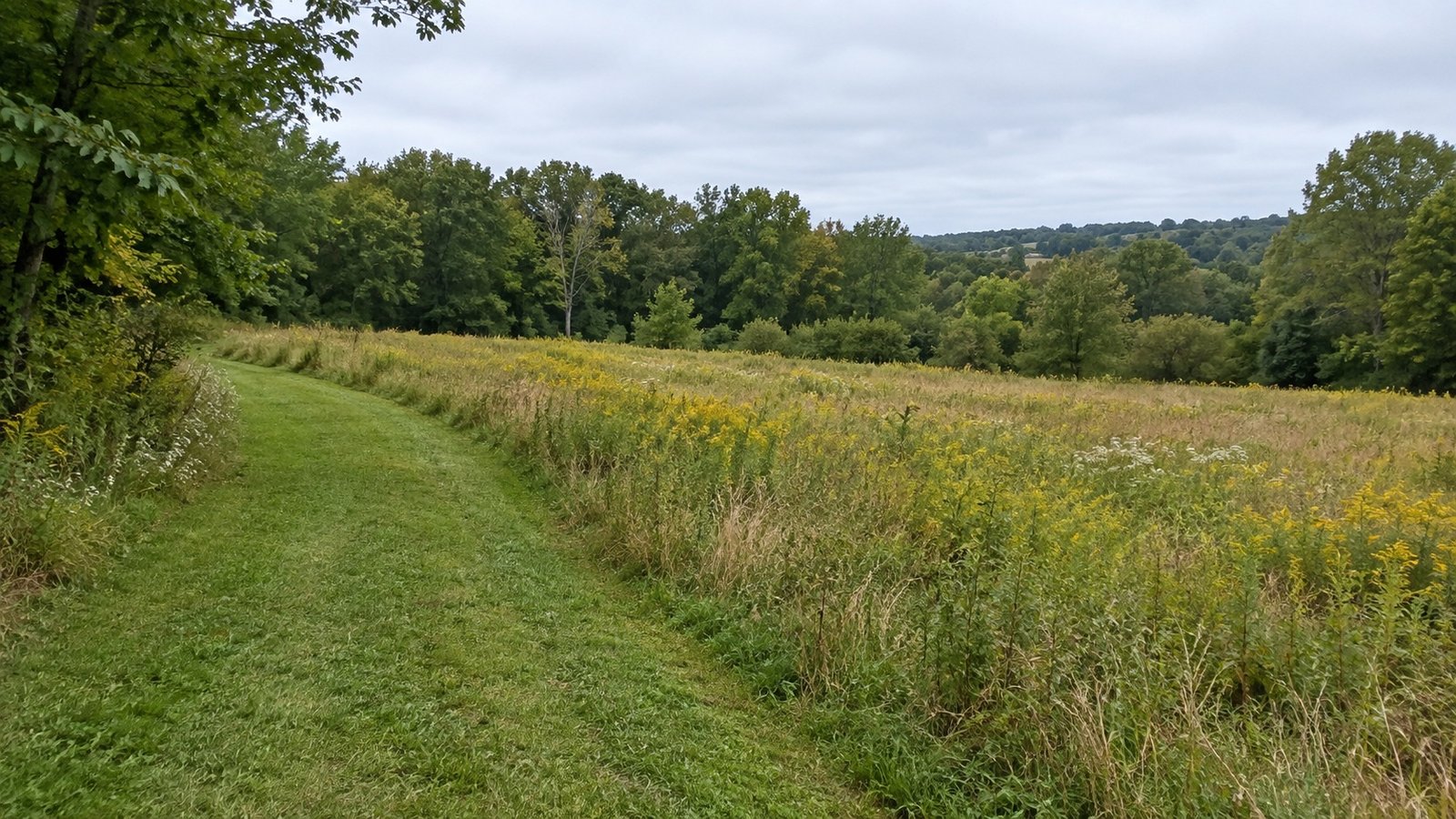Mown grass path curving beside a meadow and a wooded hillside under cloudy skies