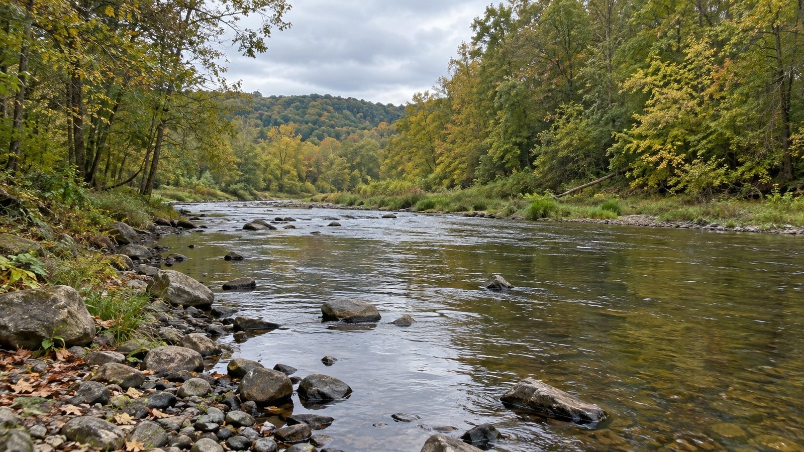 Shallow river flowing over stones between wooded banks beneath a cloudy sky