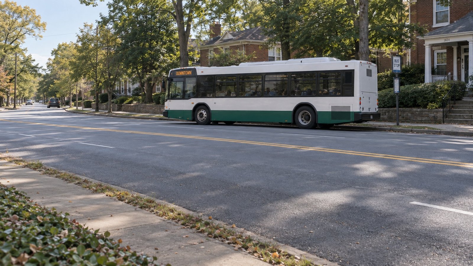 White and green city bus viewed across a through-street with clear road ahead