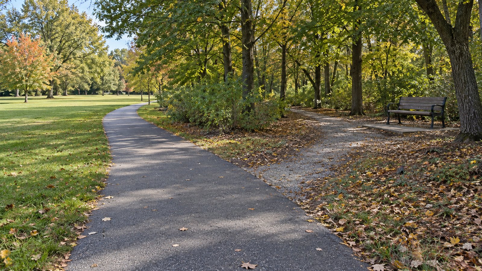 Build a practical weekly routine A paved park path branching to a gravel trail and a supported bench under trees.