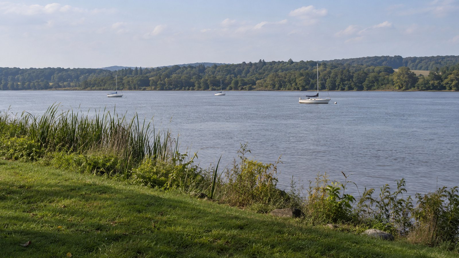 A quieter view by the river Small moored sailboats on a broad river viewed from a grassy bank with reeds and a wooded opposite shore