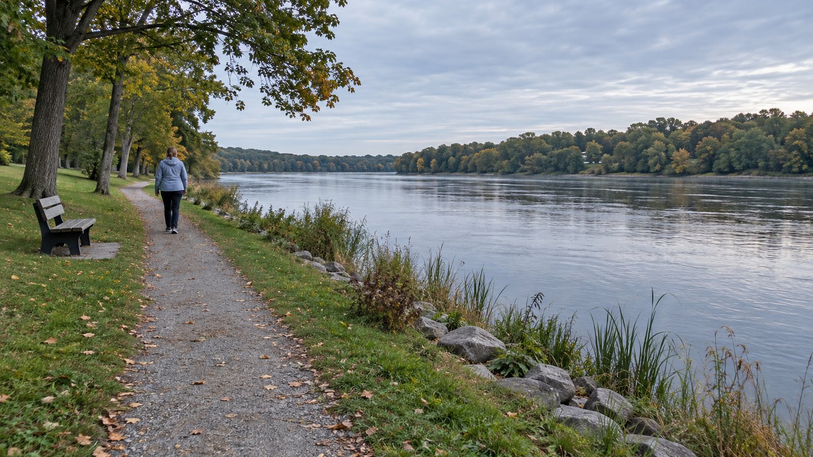 An adult walking along a gravel path beside a broad river, with a bench and trees