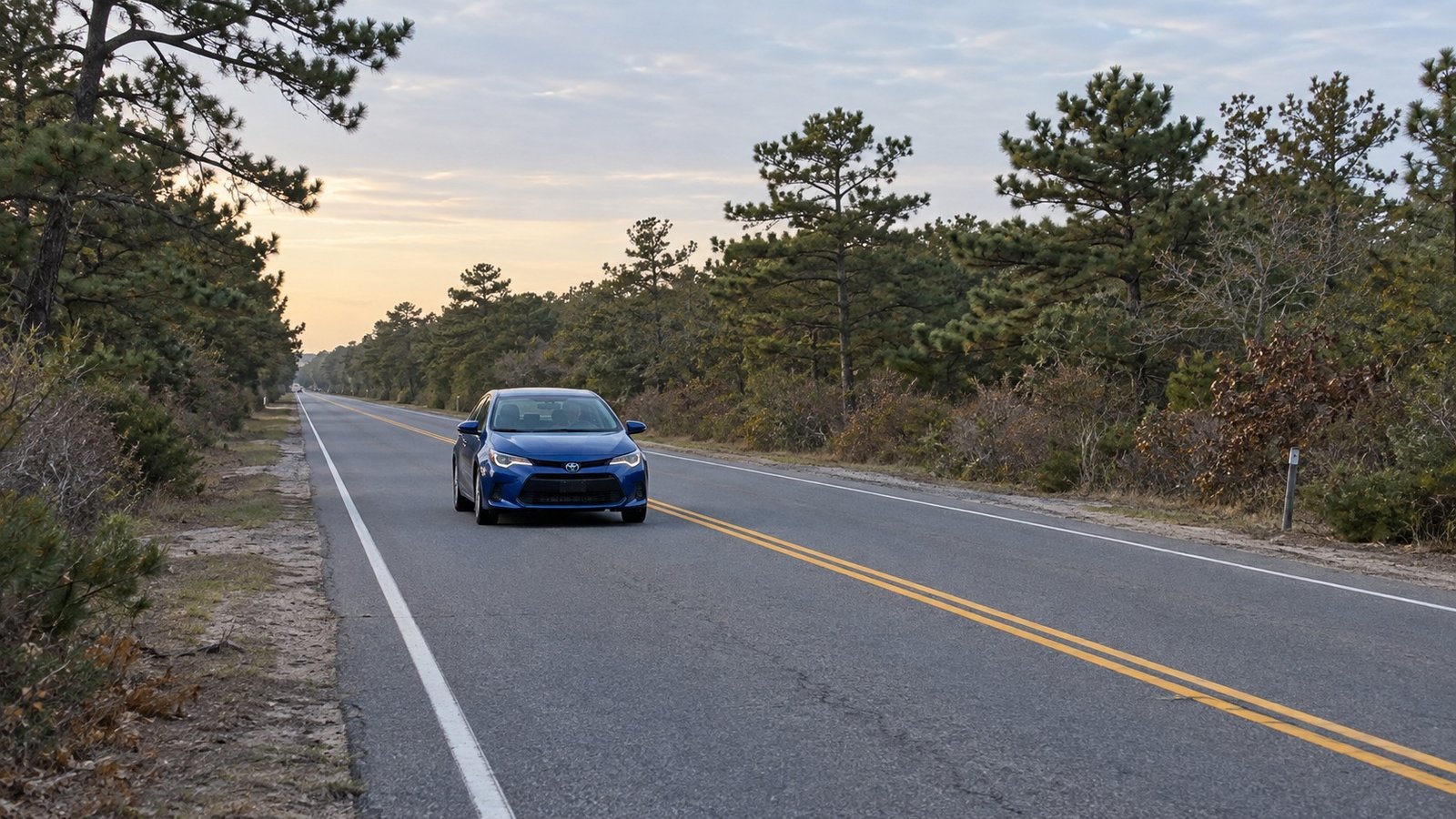 A blue compact car travelling along a two-lane road bordered by pine and deciduous trees