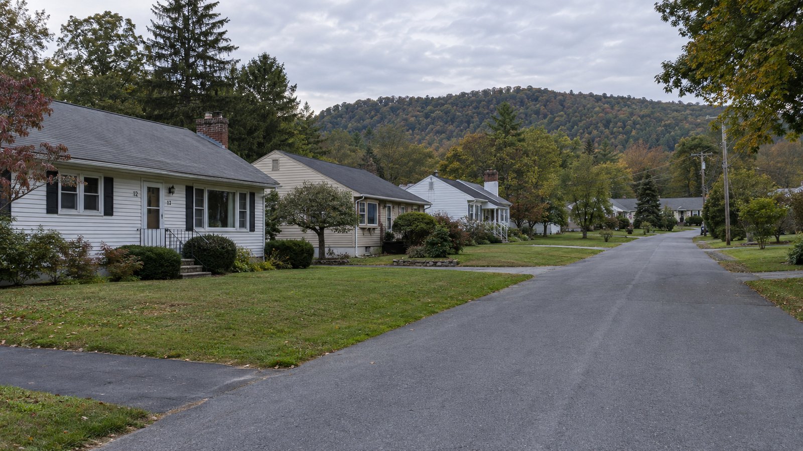 Review the outside approach An empty street of modest wood houses and private driveways beneath a low wooded ridge.