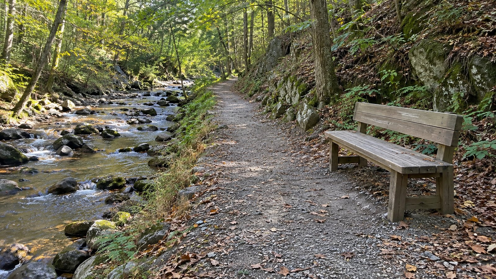 A gravel woodland path beside a rocky stream with a complete timber bench