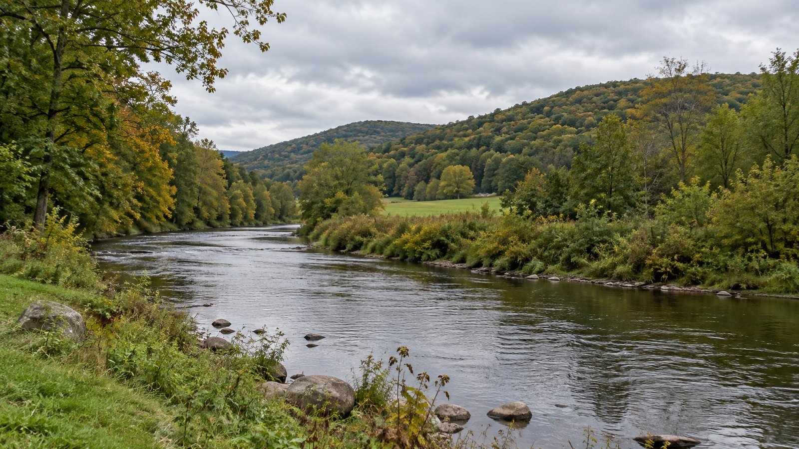 River curving between leafy banks with an open meadow, rounded wooded hills and stones in the foreground