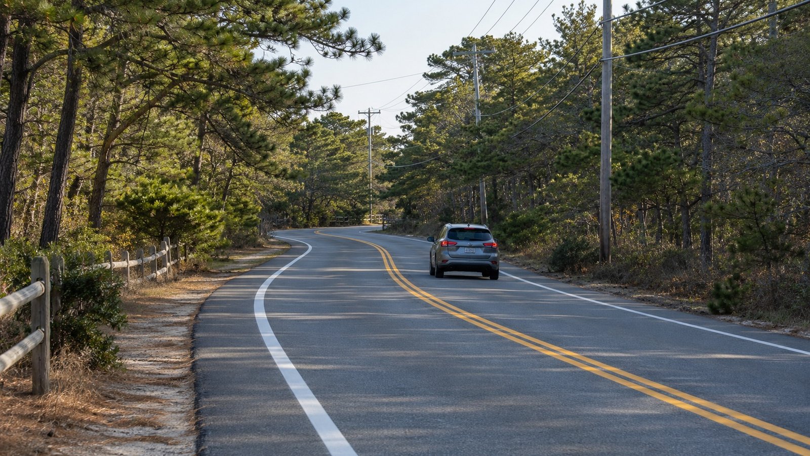 The road home Gray crossover driving away in the right lane of a two-lane road bordered by pine trees and utility poles