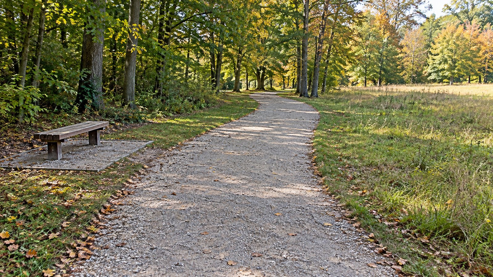 A gravel park trail curving through trees beside a meadow and a separate backless bench.