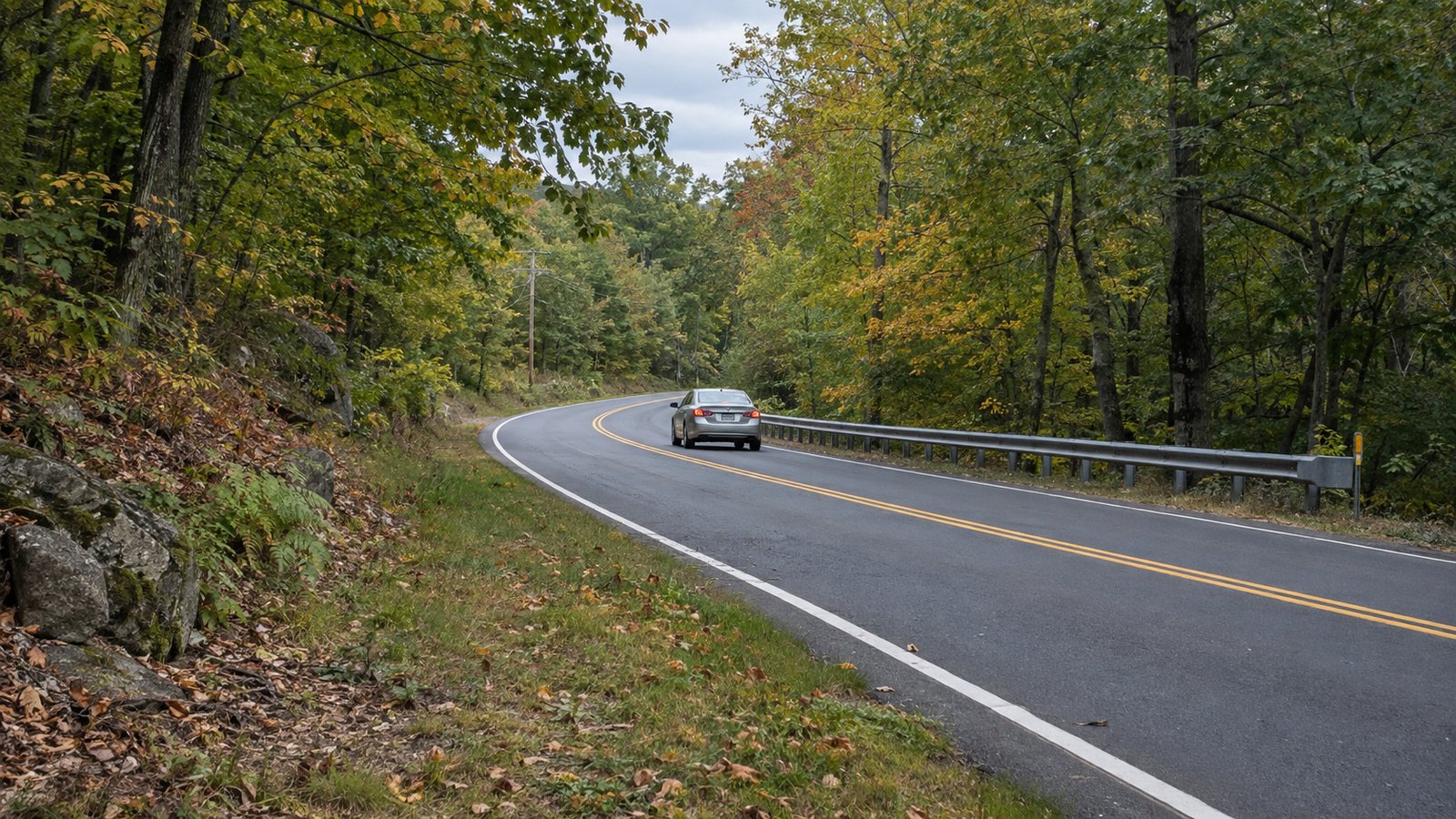 A car travelling away along a curved two-lane road through woodland