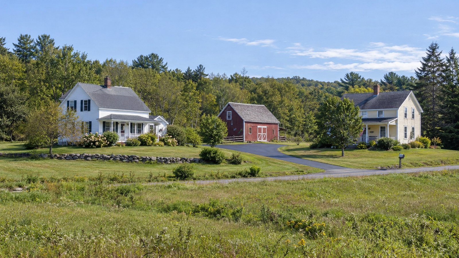 Inspect the property approach Two complete modest farmhouses and a small barn beyond a meadow, with connected road and driveways.